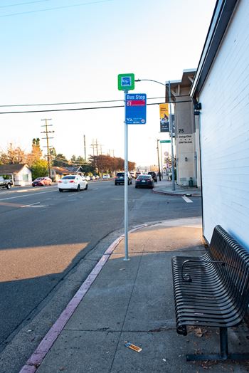 A street view with a bench on the sidewalk.